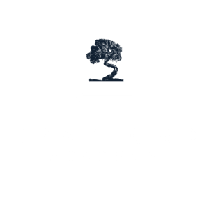 unofficial-Bradford-Academy-Logo-white