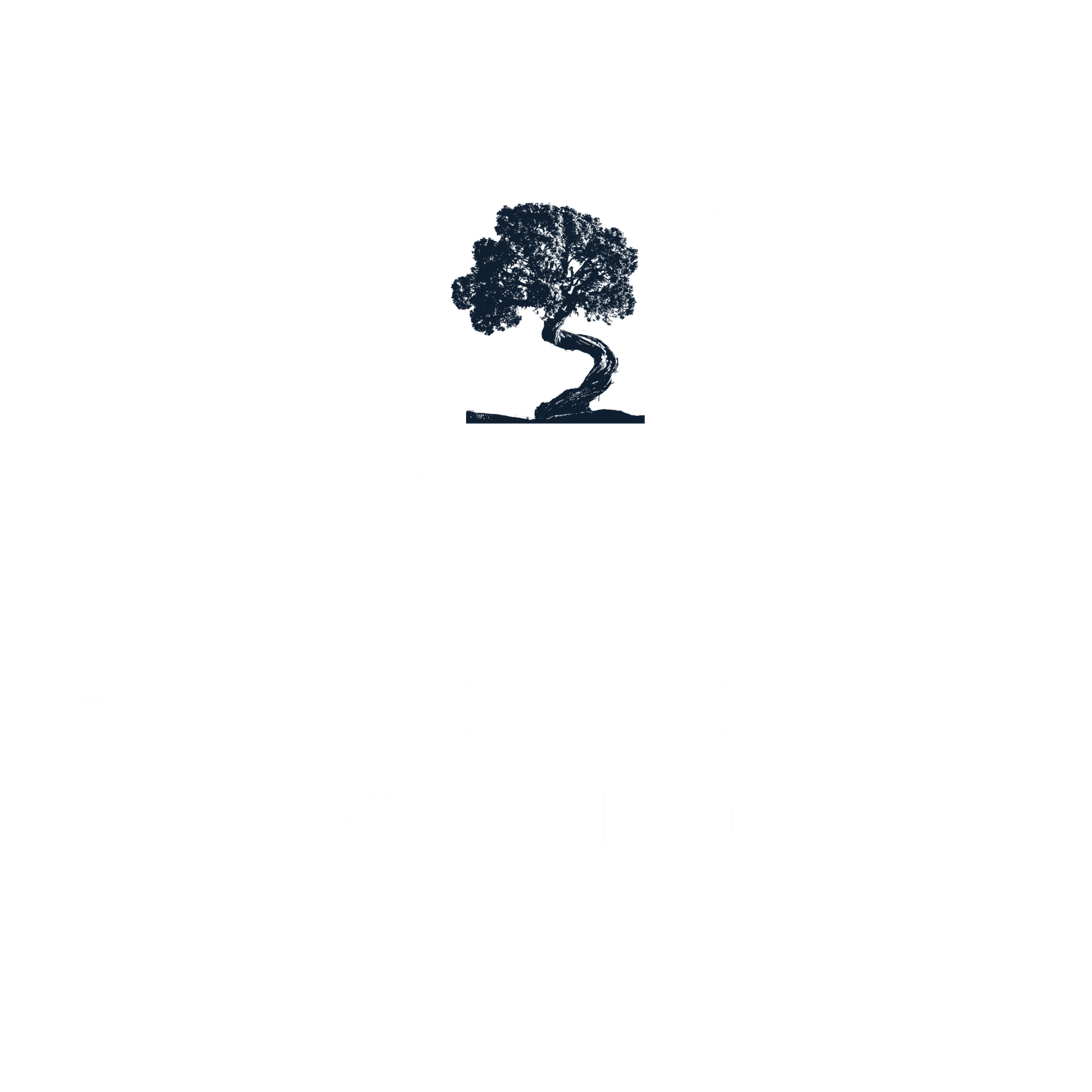 unofficial-Bradford-Academy-Logo-white